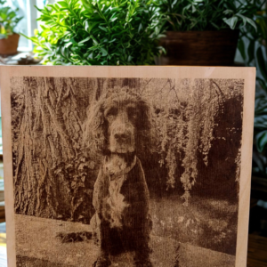 20251026_155810_0000