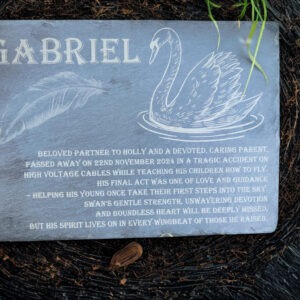 b64352a8-d80c-4be5-a0b9-c9024a6c8ca7_20251130_084549_0000